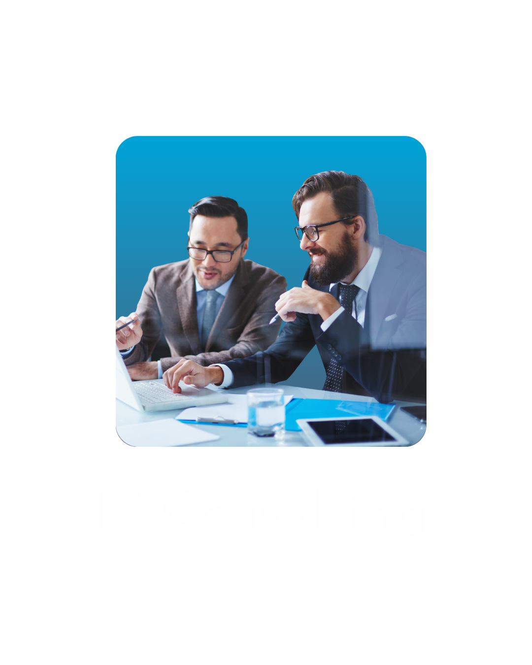 Consulenti IT